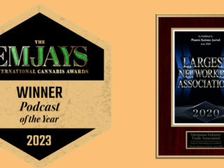 Screenshot-2026-02-12-at-08-41-44-MITA-US-Marijuana-Industry-Trade-Association